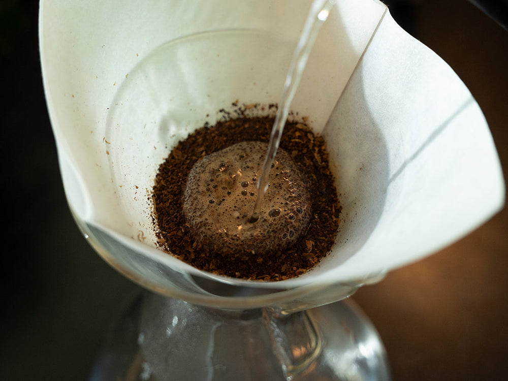 Coffee Bloom Explained: What It Is, Why It Happens, and How to Do It Right